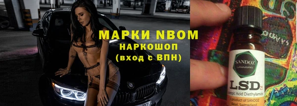 трава Белокуриха