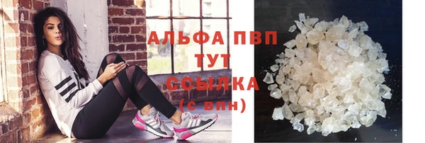 трава Белокуриха