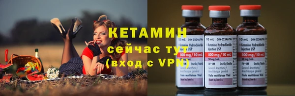 трава Белокуриха