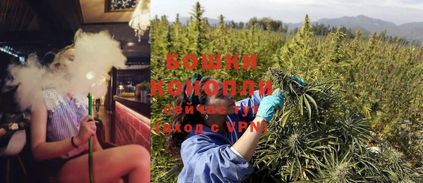 трава Белокуриха