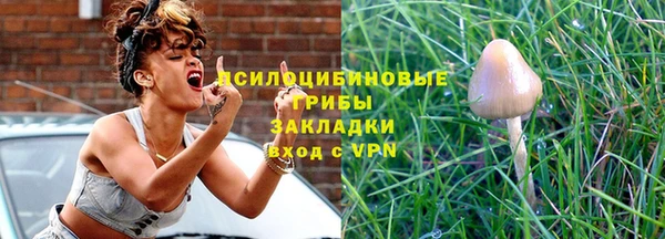 трава Белокуриха