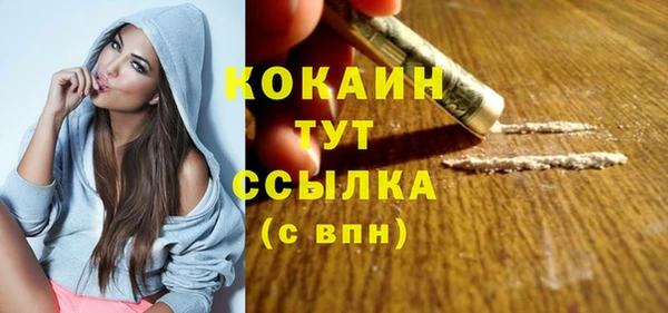 трава Белокуриха