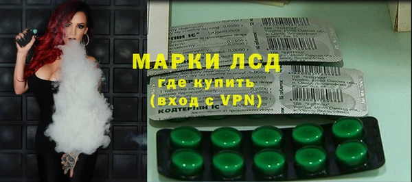 трава Белокуриха